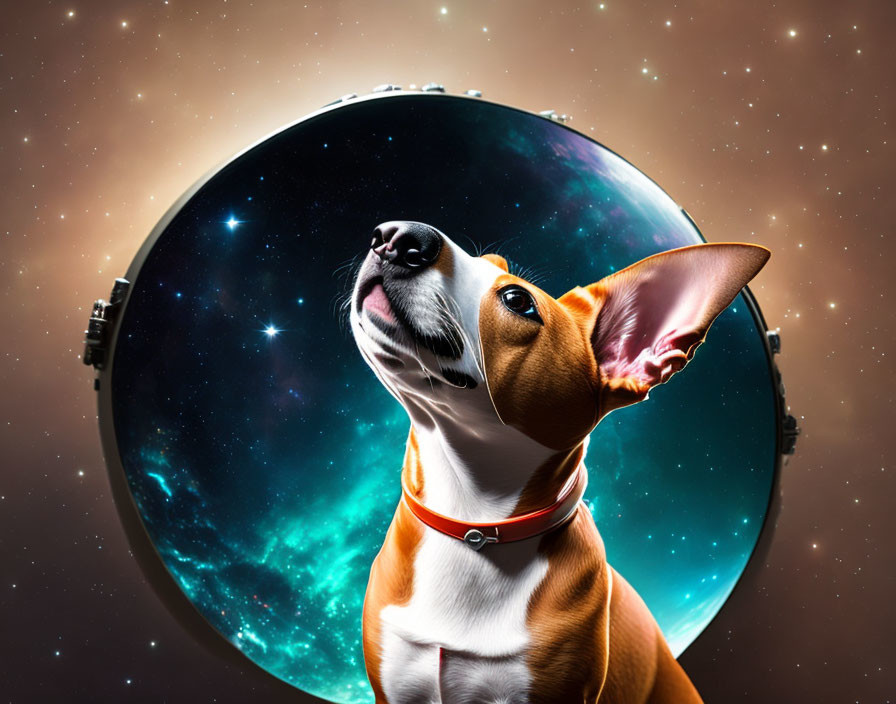 basenji in outer space 