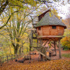Illustration of whimsical multi-story treehouse in lush forest