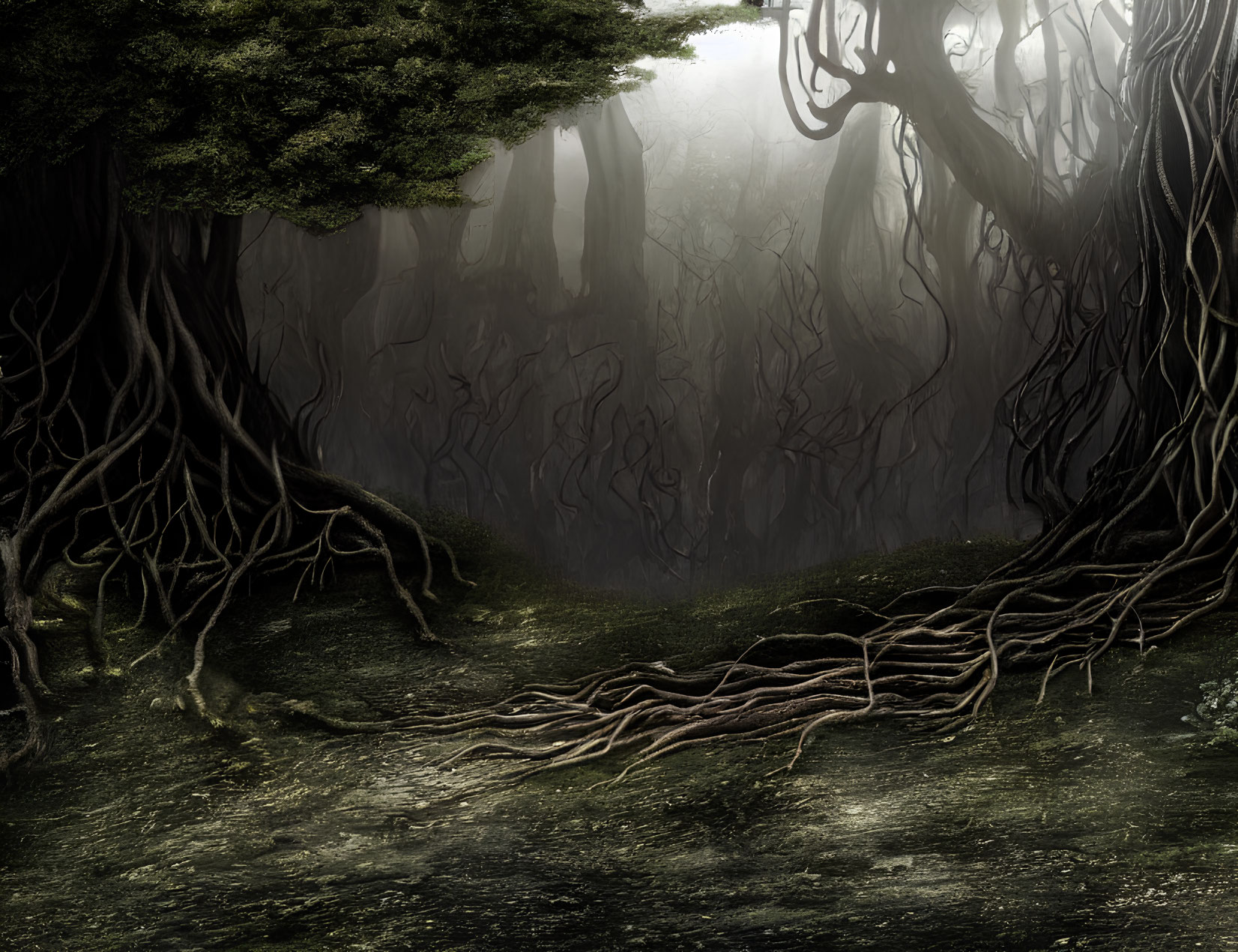 Mystical Forest with Gnarled Trees and Thick Mist
