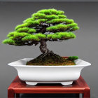 Meticulously sculpted bonsai tree with vibrant green foliage in white pot