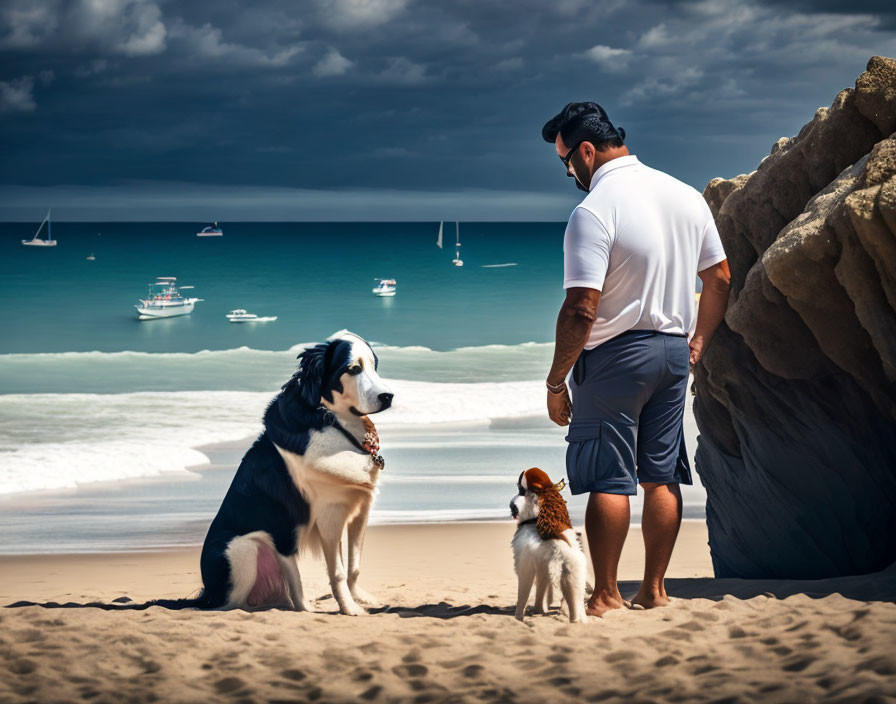 Man standing on beach with dogs