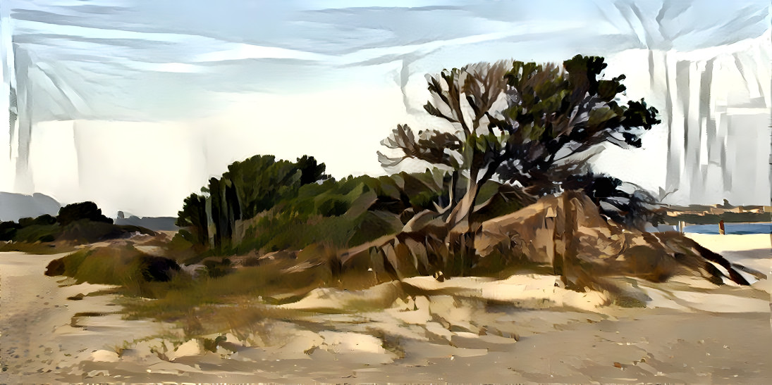 Tree on a beach in Sardinia