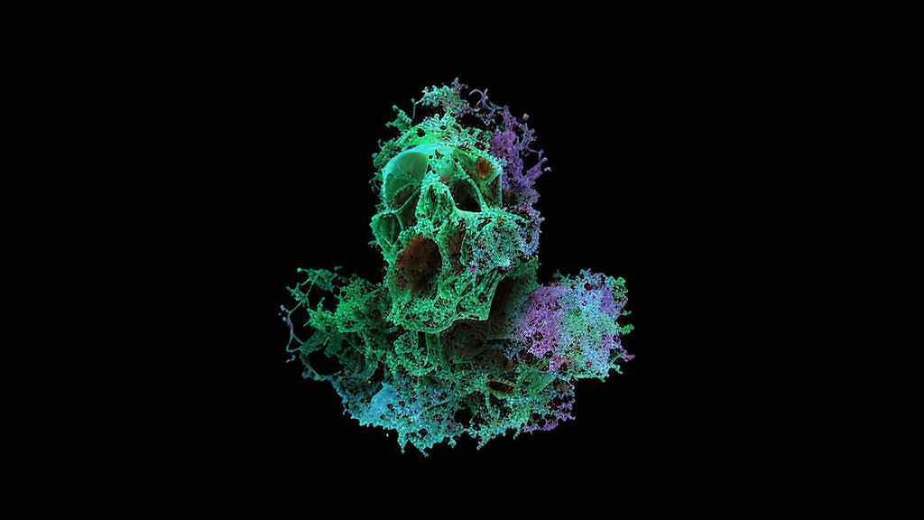 Colorful 3D fractal design of coral-like structure on black background