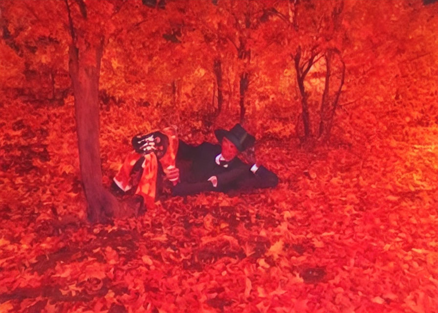 Autumn scene: Two people under vibrant red and orange tree.