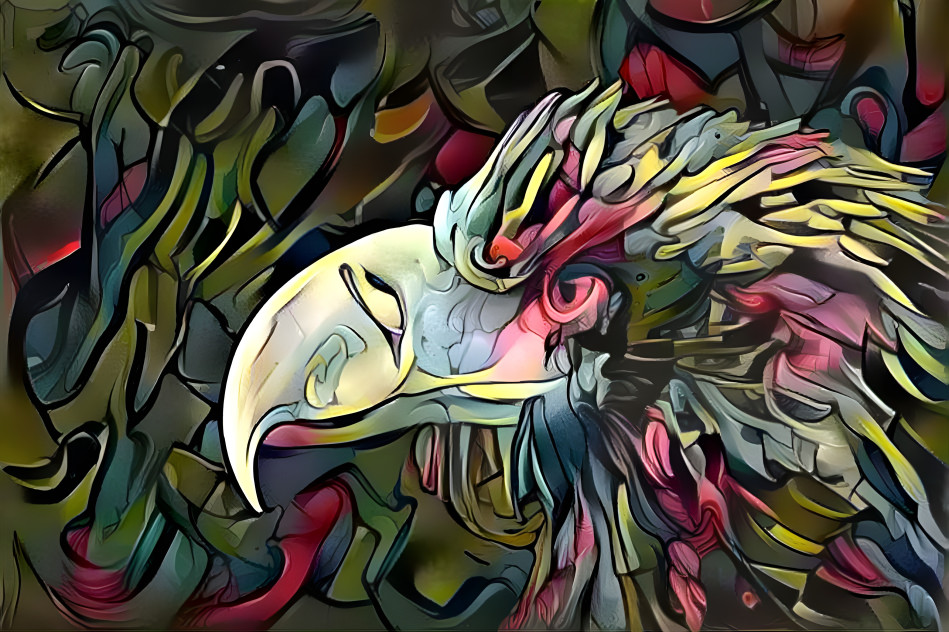 Bird of colours