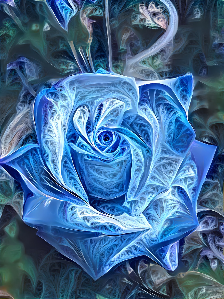 Blue rose for a blue baby