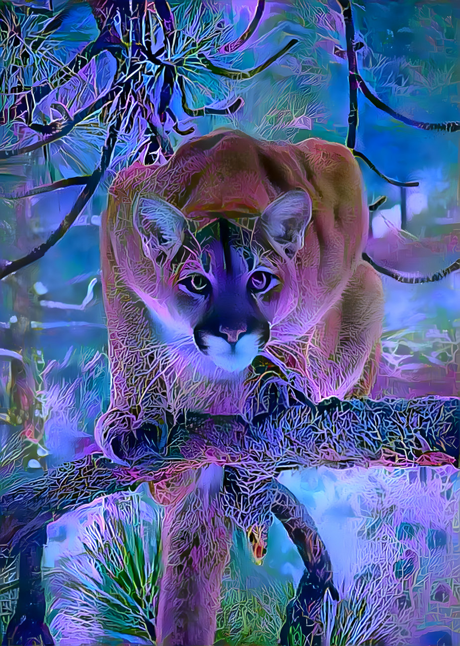 Blue Cougar