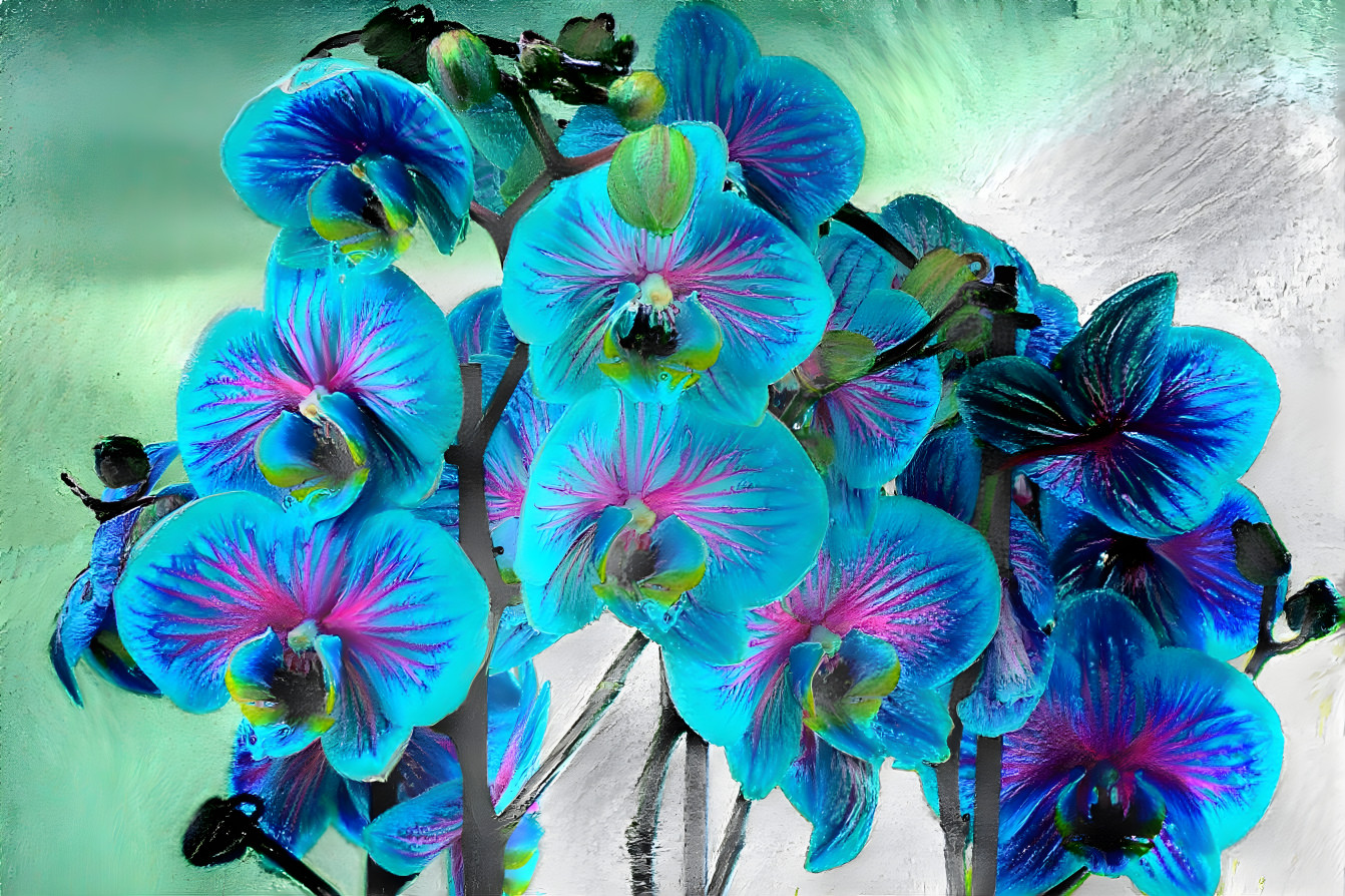 Bluetiful orchids