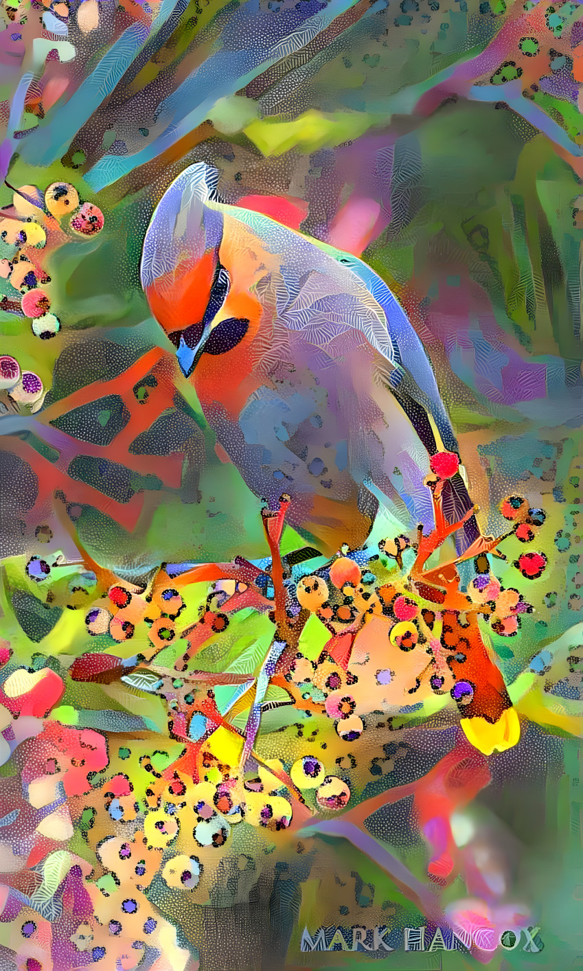 Lovely bird
