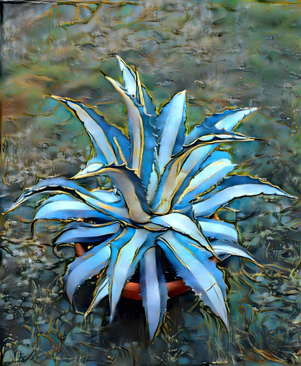 Blue succulent