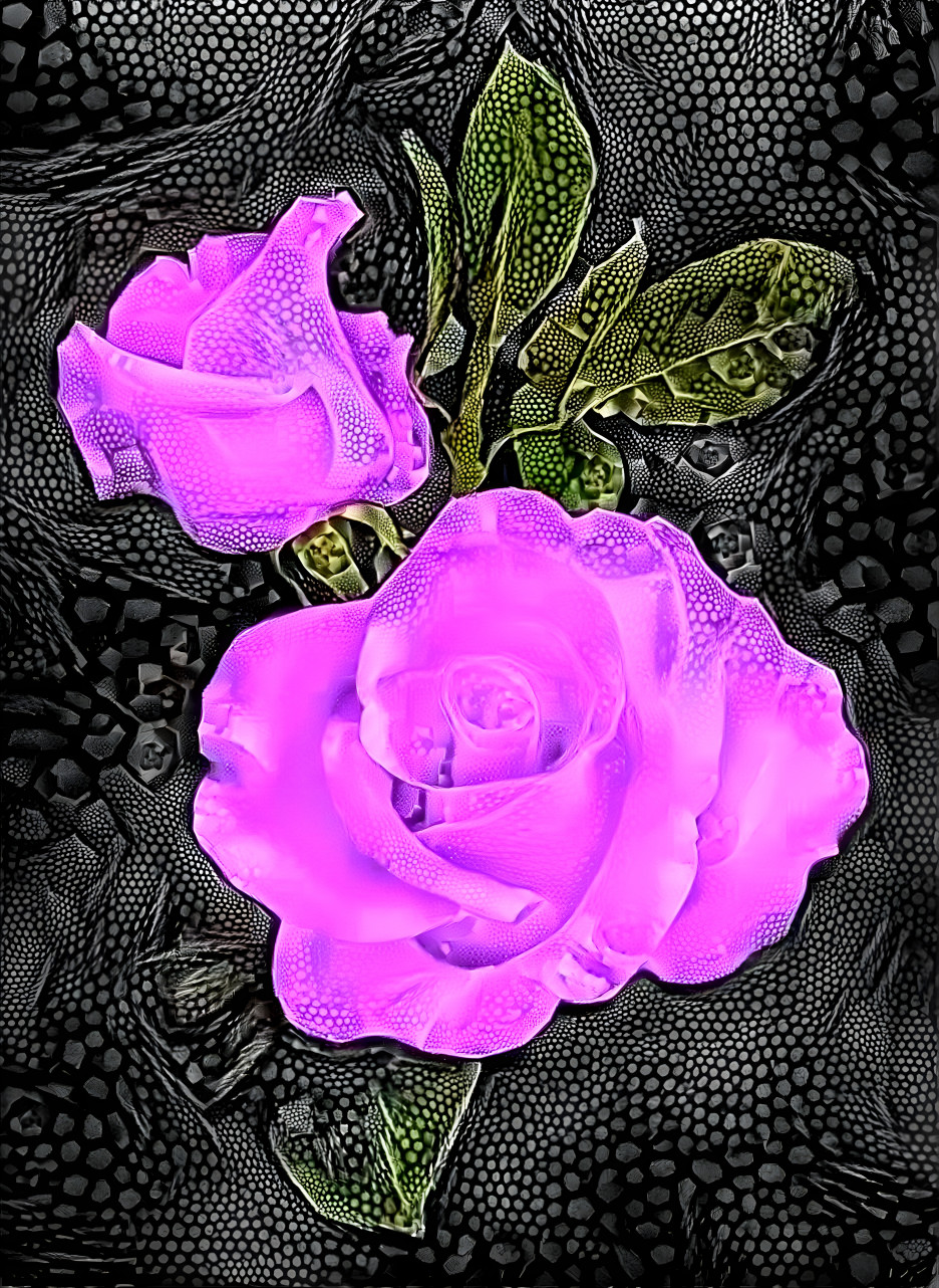 Shaparelli rose