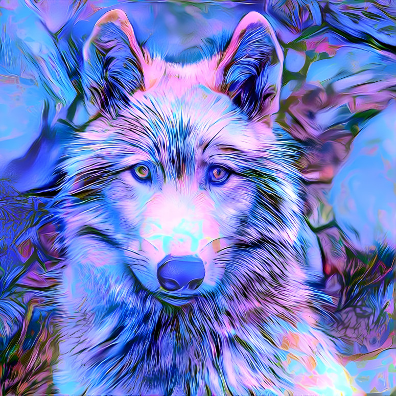 Periwinkle Wolf