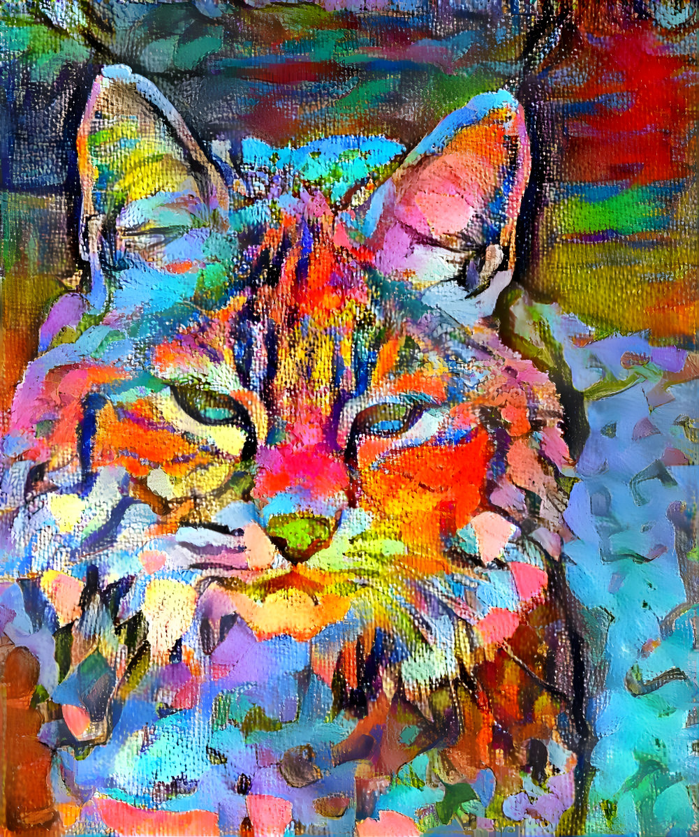 Rainbow lynx gurl