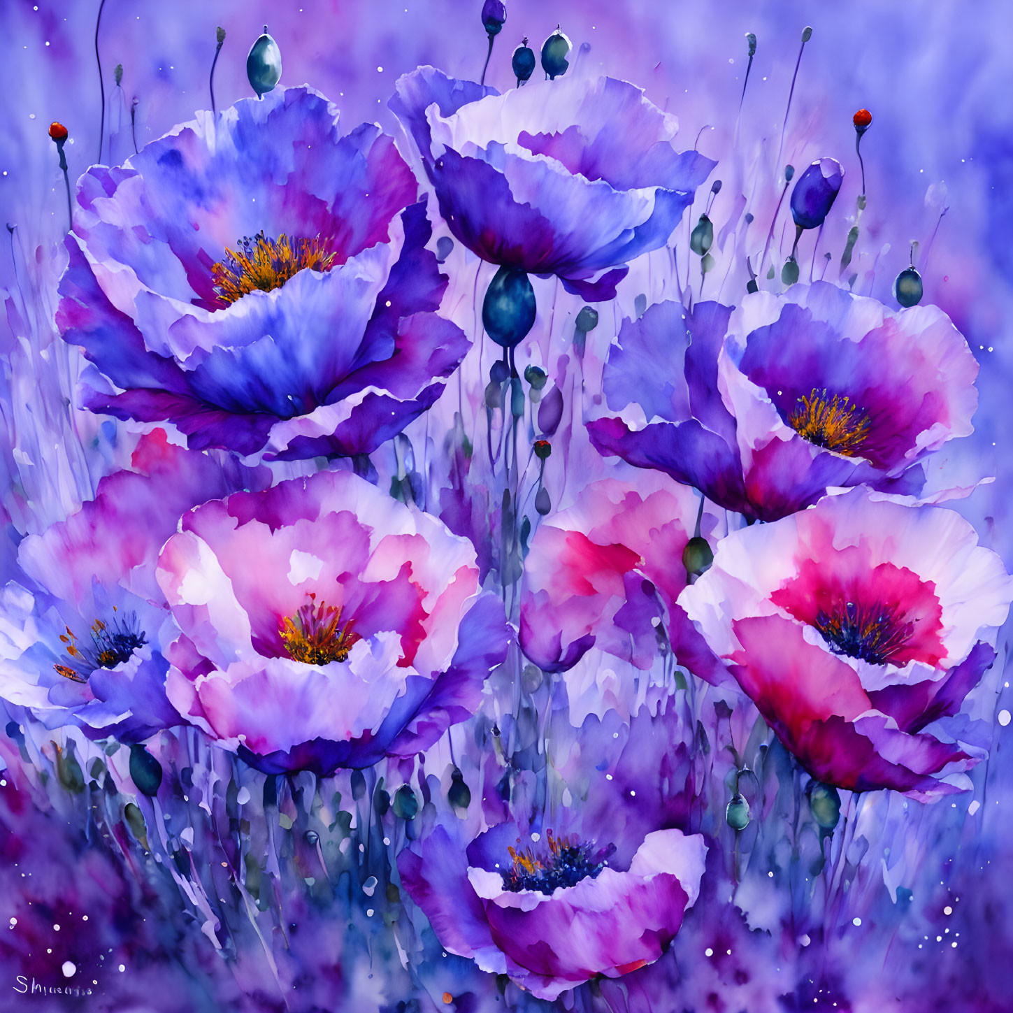 Colorful Painting of Purple and Pink Poppies on Dreamy Background