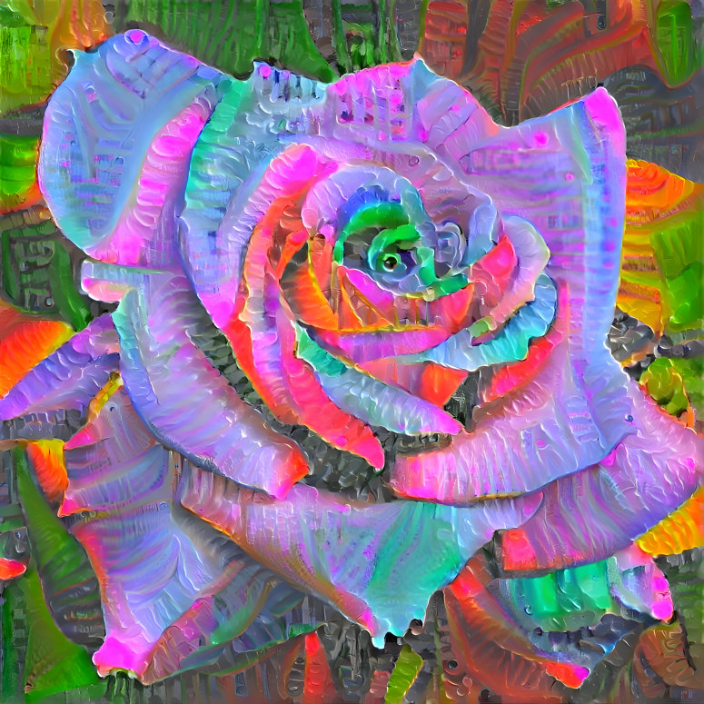 Ravish rose