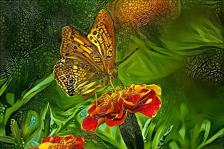 Butterfly visits a marigold