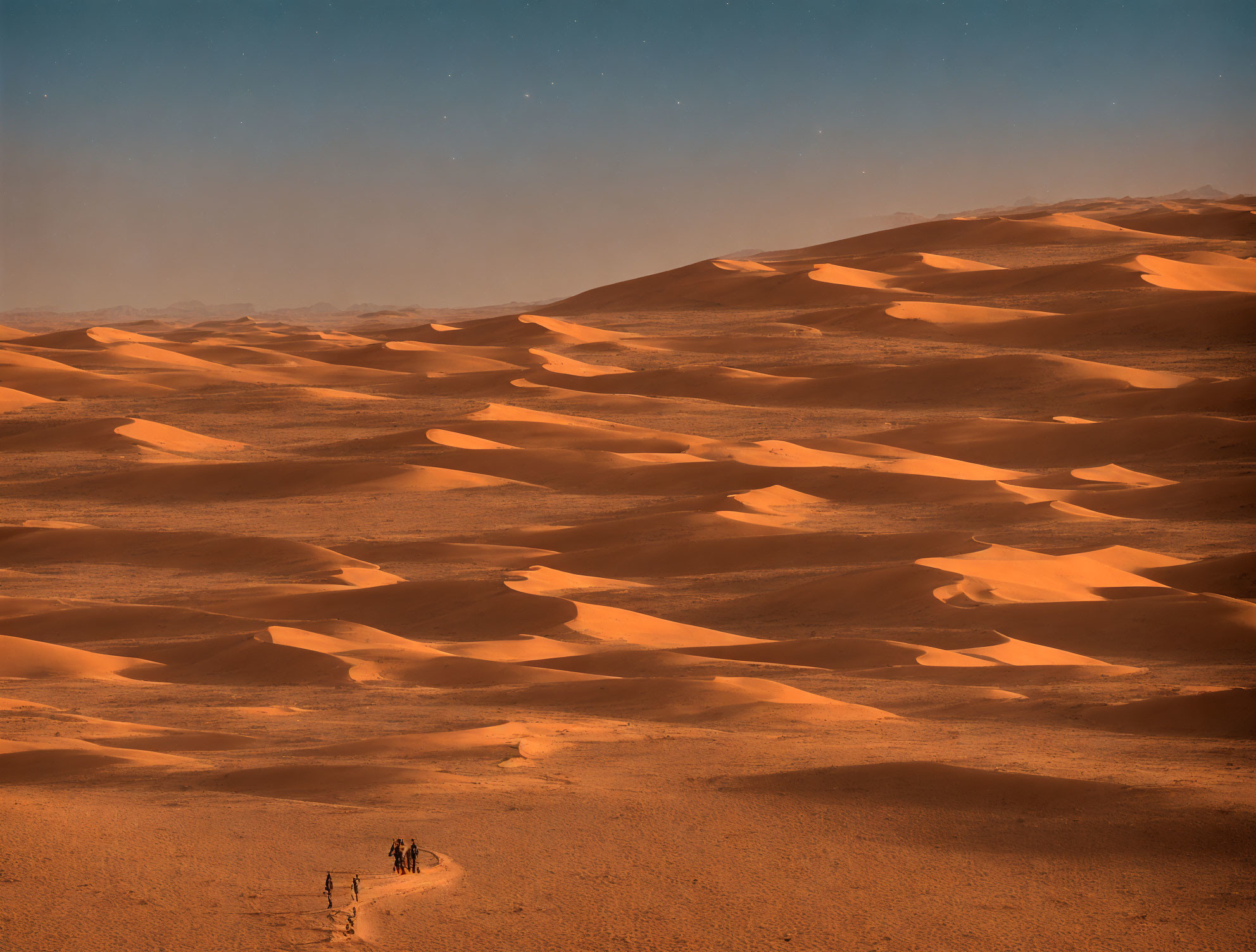 Distant Dunes