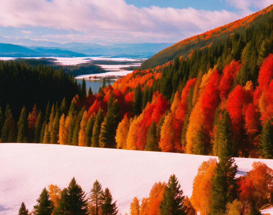 cliffside autumn forest in snow