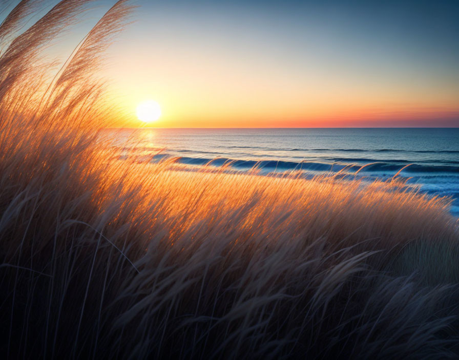 Calm ocean, windy grasses, rising sun.