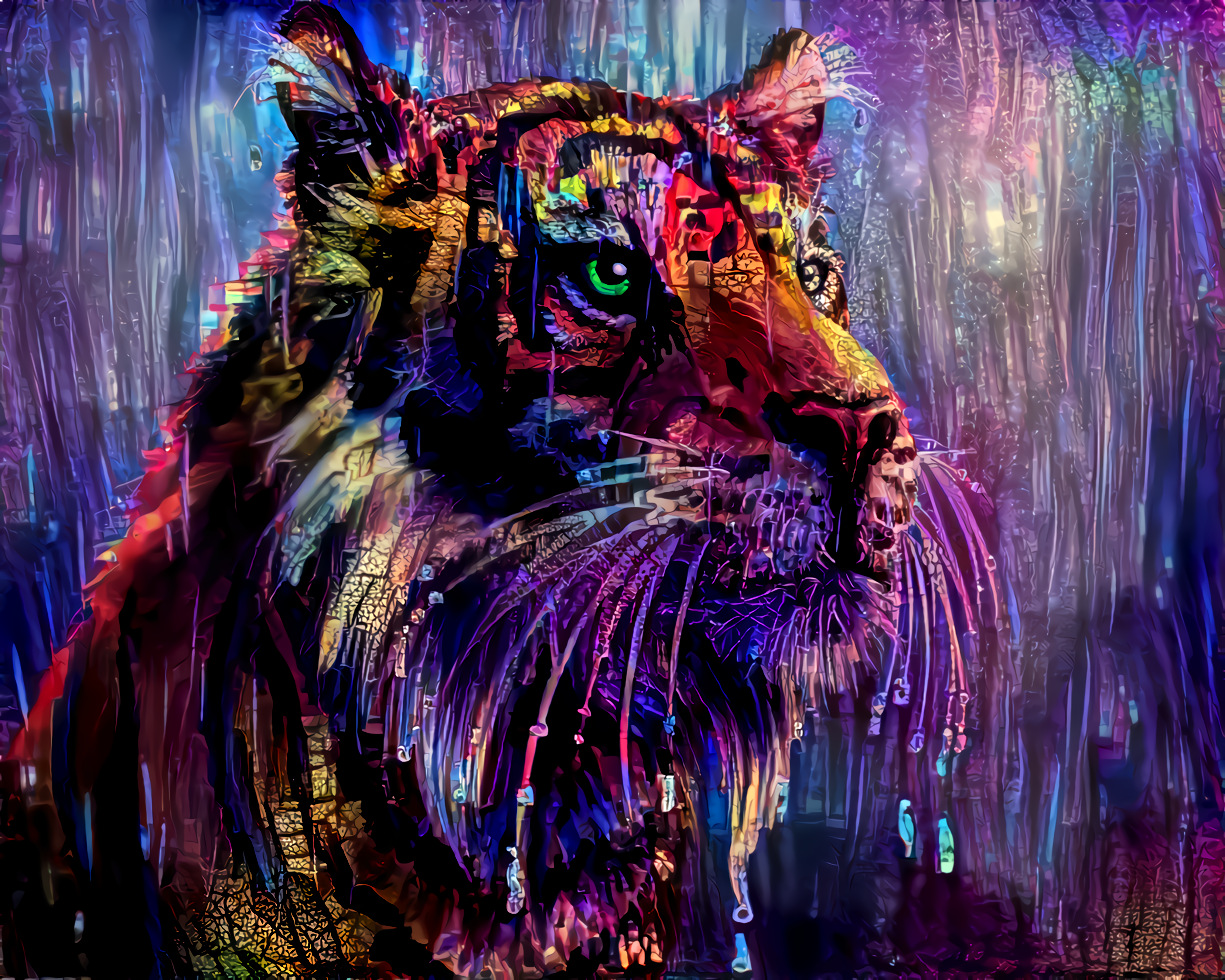 Tiger in the Purple Rain