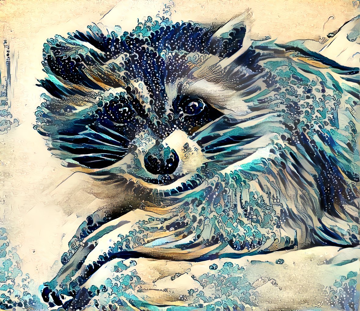 Deep Raccoon 5