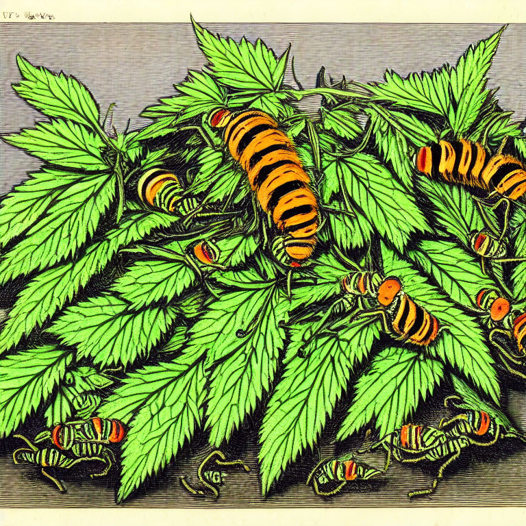 Striped insects on vibrant green leaves with red accents symbolize bustling activity.