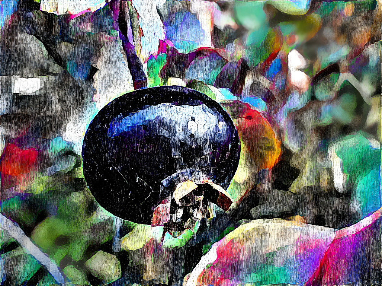 rose hips styled as graphic art