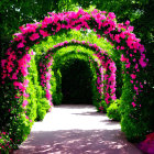 Vibrant pink flowers on lush garden pathway