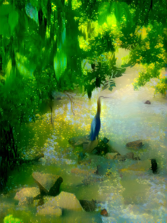 A Blue Heron Hunting in a Stream