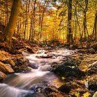 Enchanted autumn scene with golden foliage, serene stream, moss-covered rocks, fallen leaves