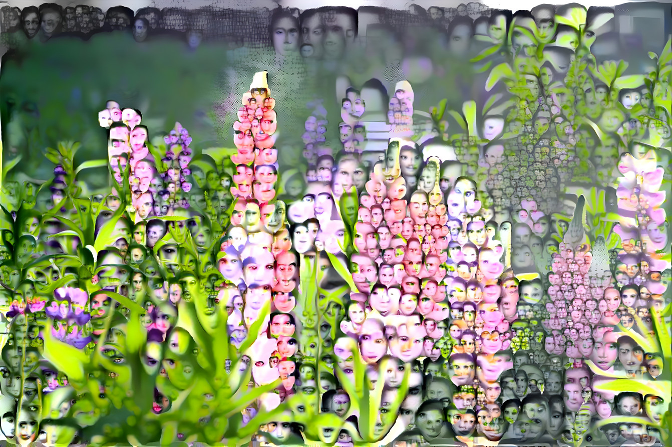 Face Lupines (clone pods?)