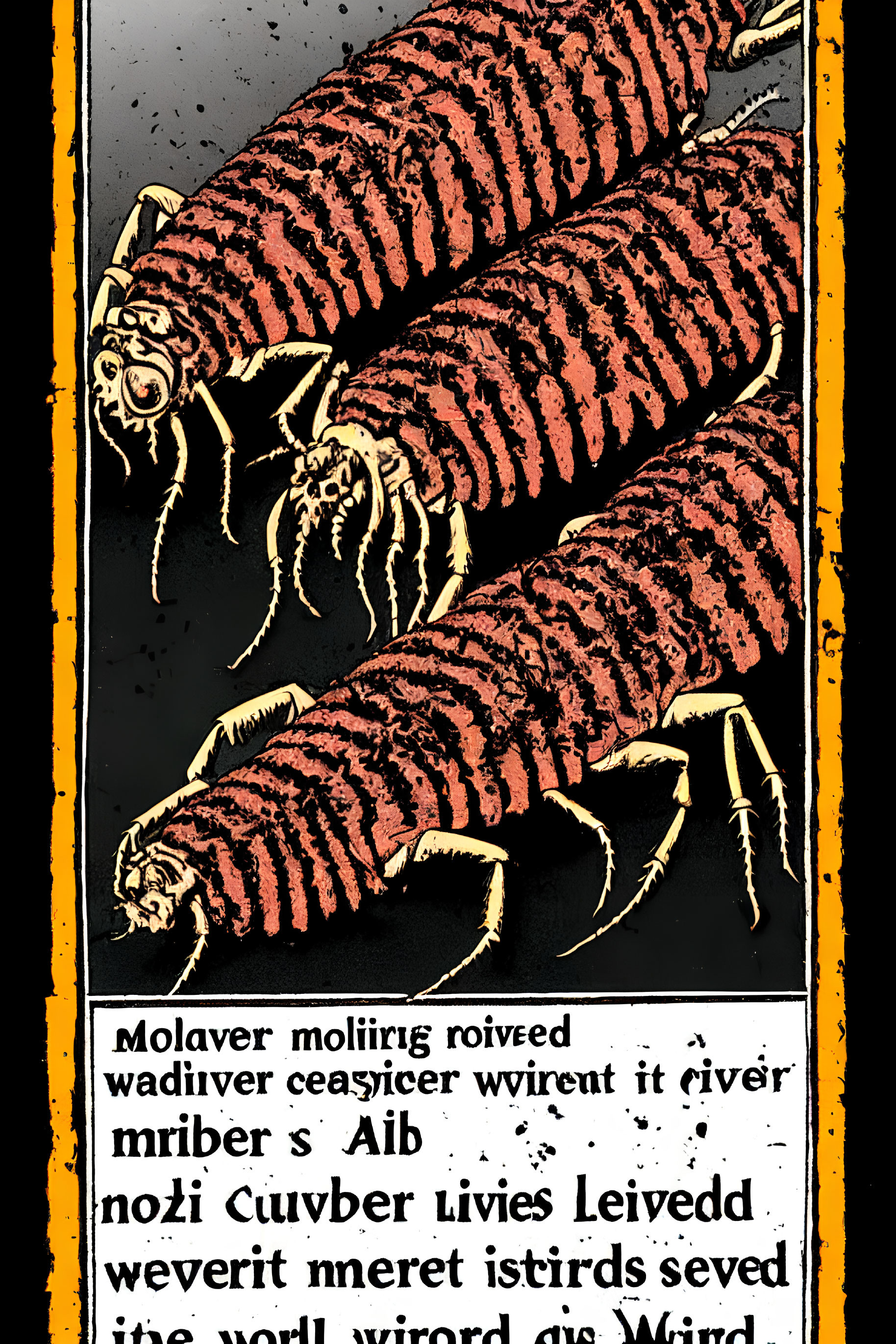Detailed red centipedes on textured yellow and black background with illegible text.