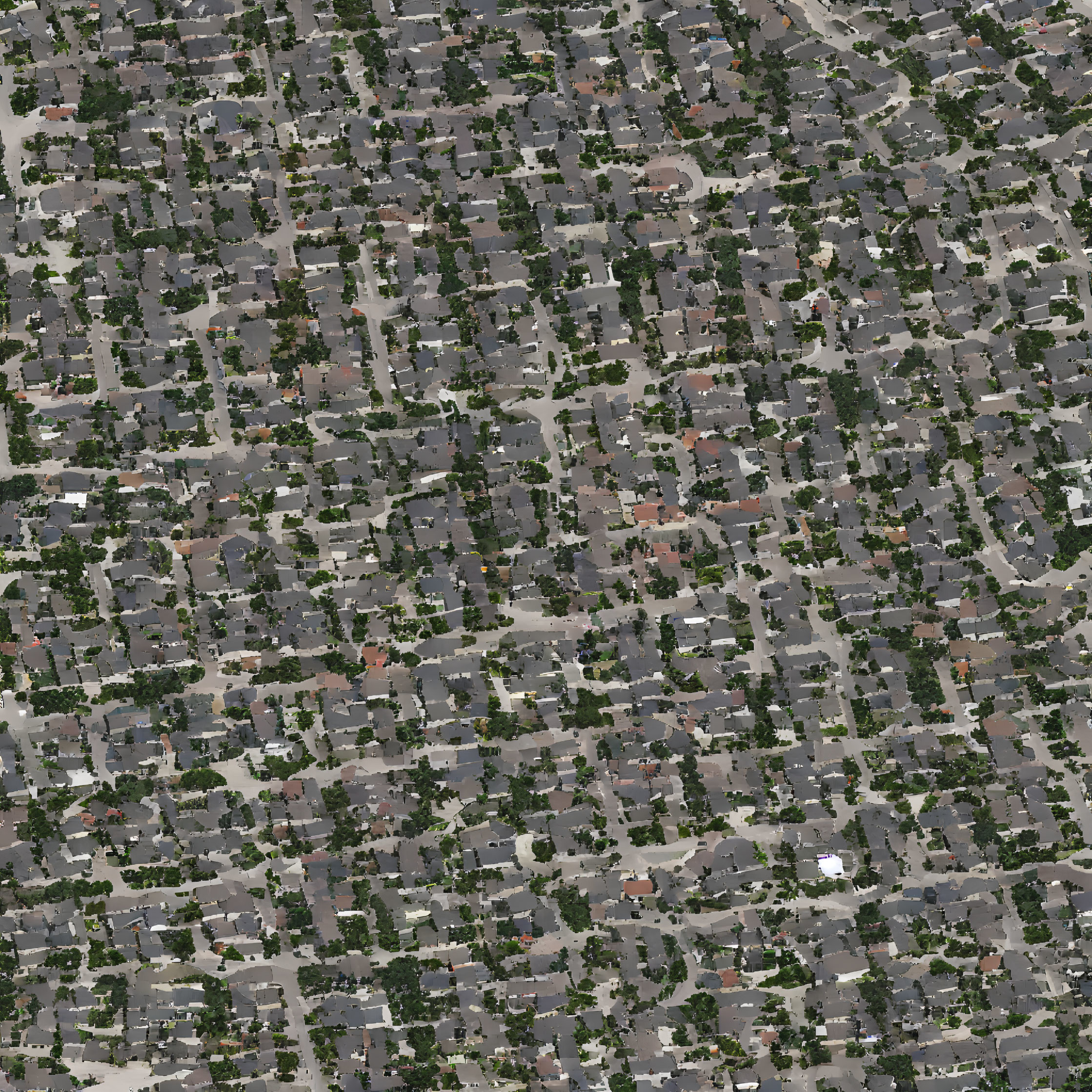 Dense Suburban Area with Houses, Trees, and Grid Streets