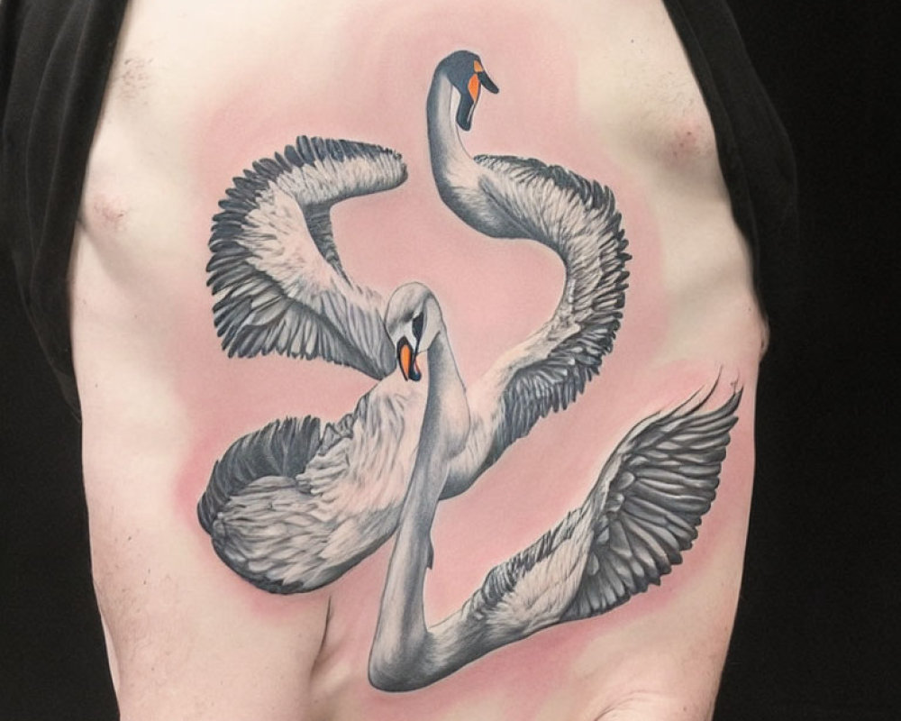 Swans Neck Tattoo Design on Light Pink Background