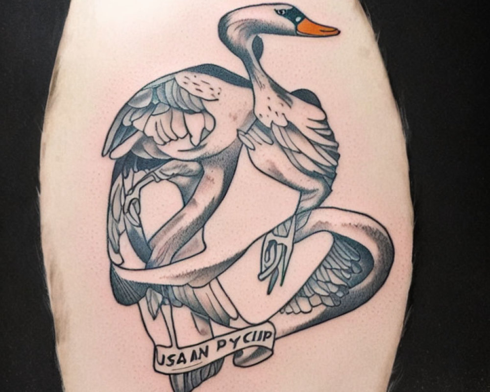 Stylized swan tattoo with ribbon reading "USAN PY CIP