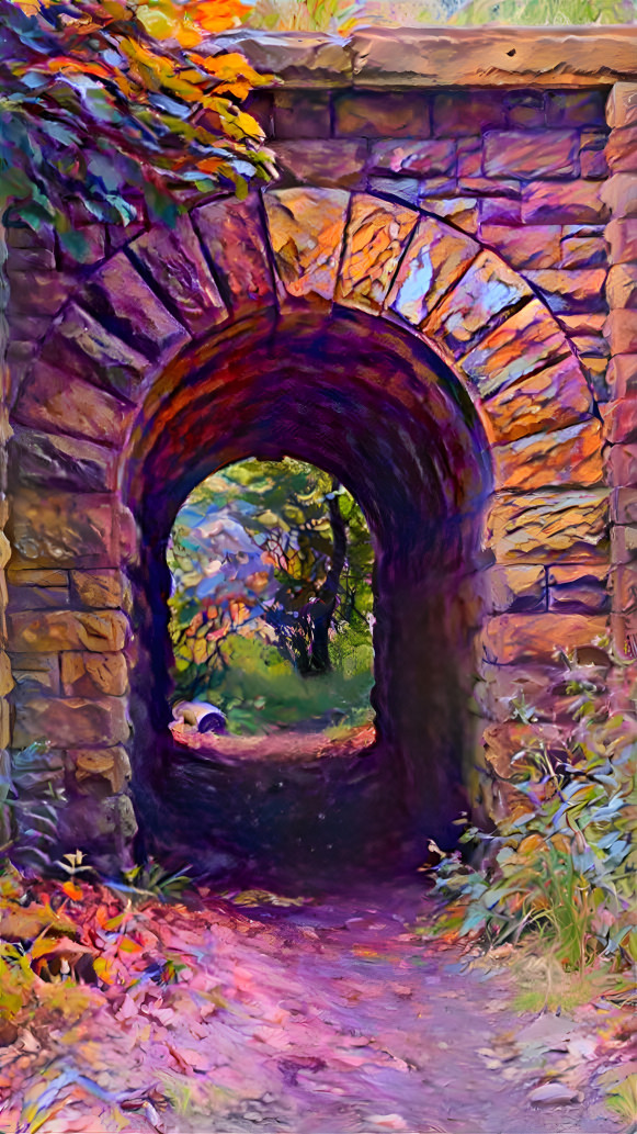 Tunnel in the Woods 
