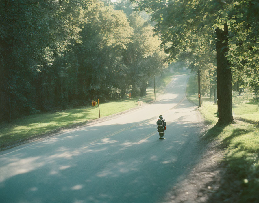Motorcyclist riding on sunlit road with green trees and traffic sign.