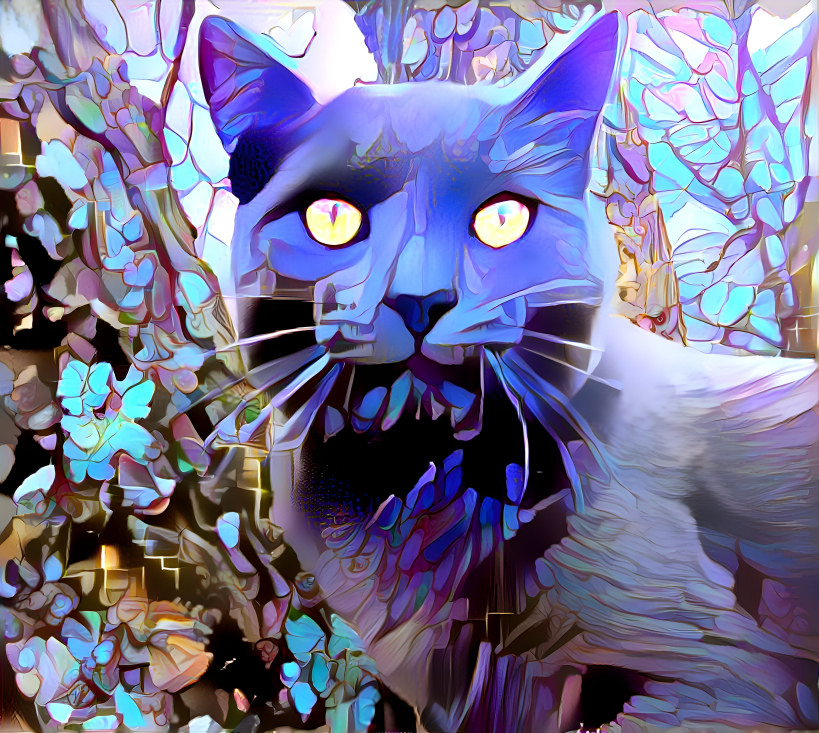 Cat Man Blue