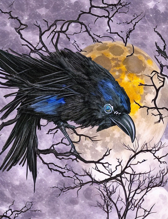 Black raven with blue highlights perched under full yellow moon