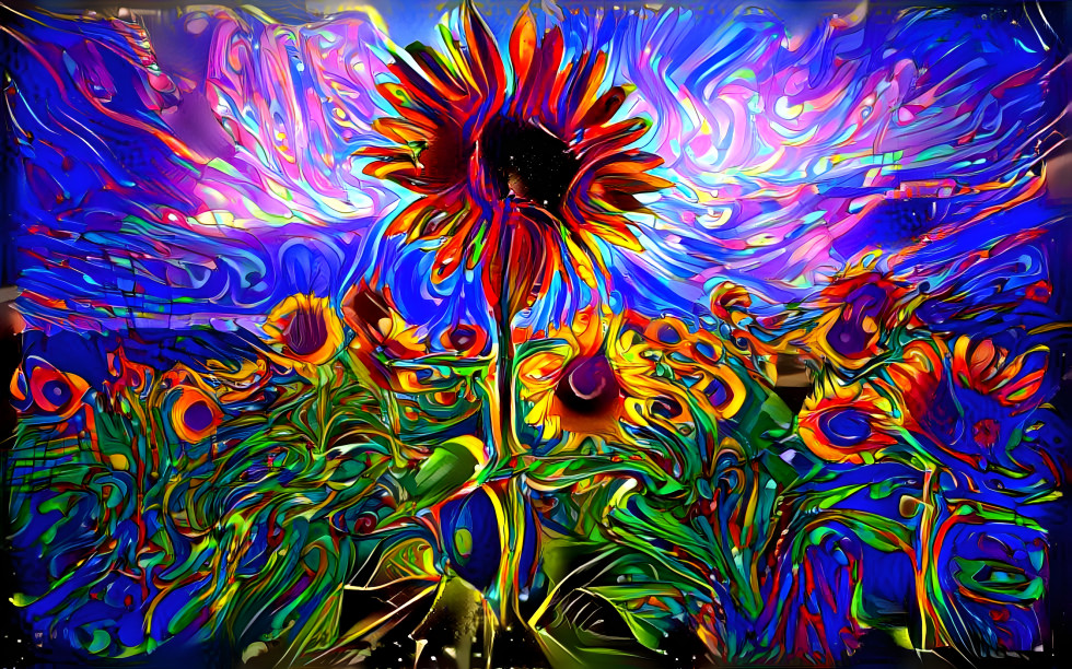 DMT Sunflower