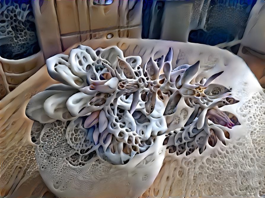 Bone succulent