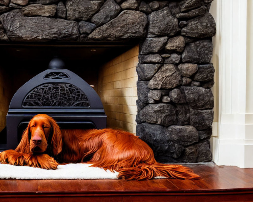 Irish Setter Dog Relaxing by Stone Fireplace in Cozy Room