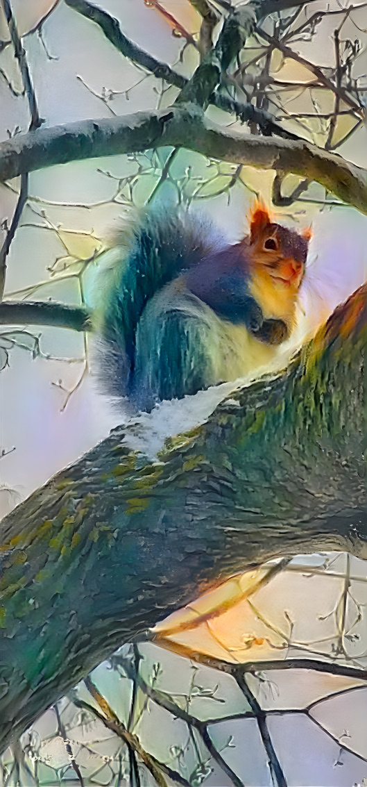 Squirrel sitting