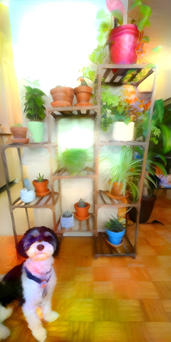 Ernie & plants