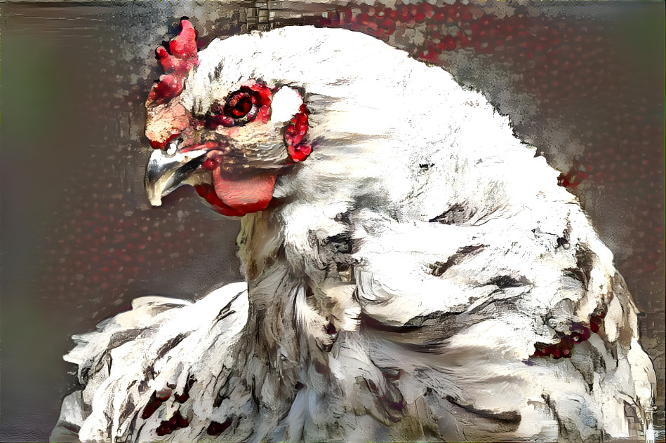 Portrait of A Hen