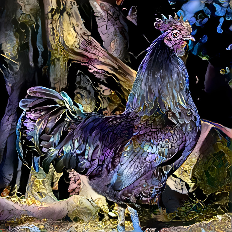 Ayam Cemani