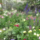 Colorful Flowers in Serene Garden Setting