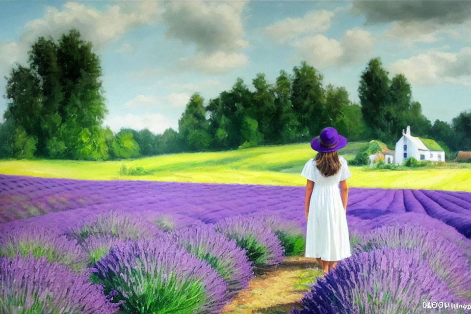 Girl in Lavender field