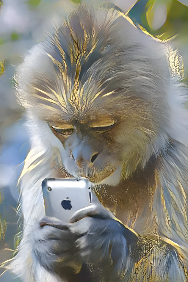 Monkey dating app