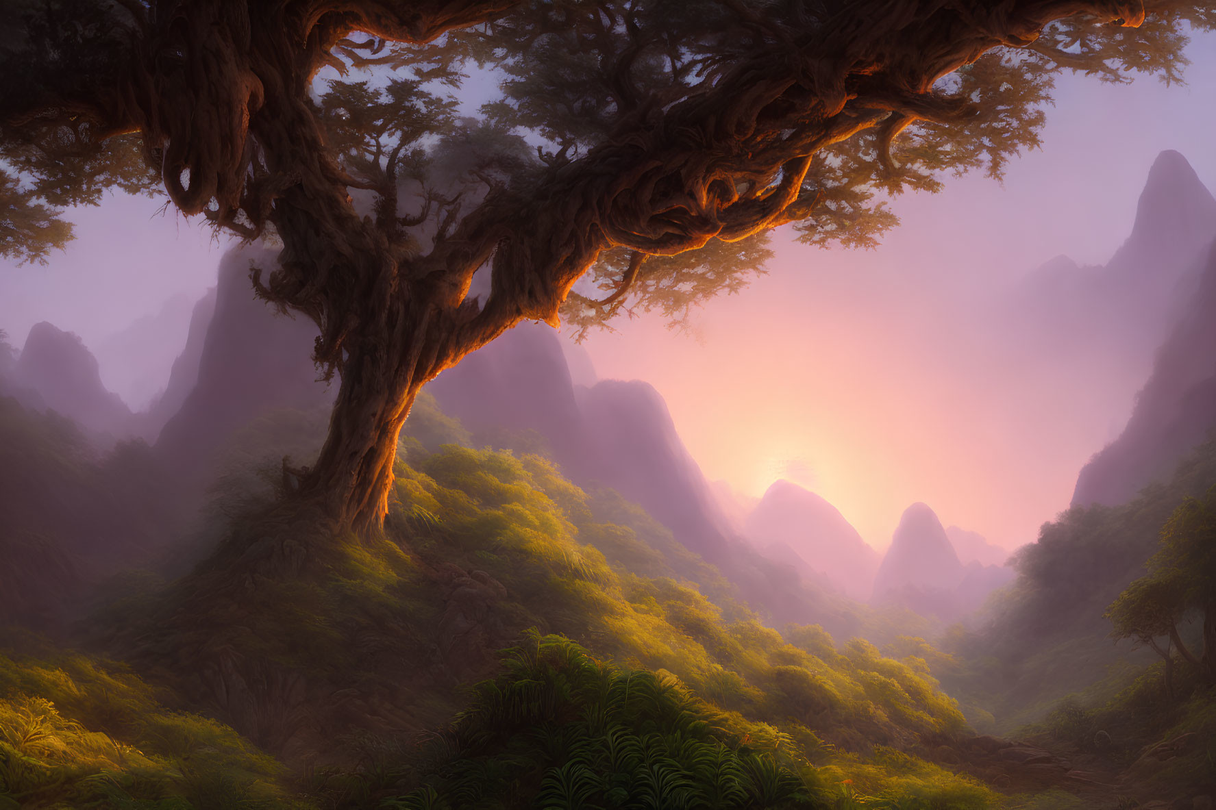 Misty sunset view through ancient twisted tree overlooking lush valley